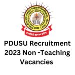 PDUSU Recruitment 2023